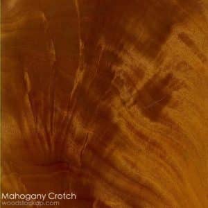 mahogany_crotch.jpg